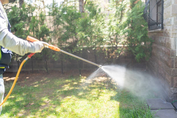 Bird Control in Pekin, IL